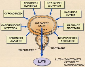 causes